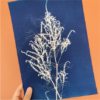 Bouquet graphique – Image 4