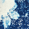 Merisier en buée – Image 3