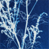 Bouquet graphique – Image 3