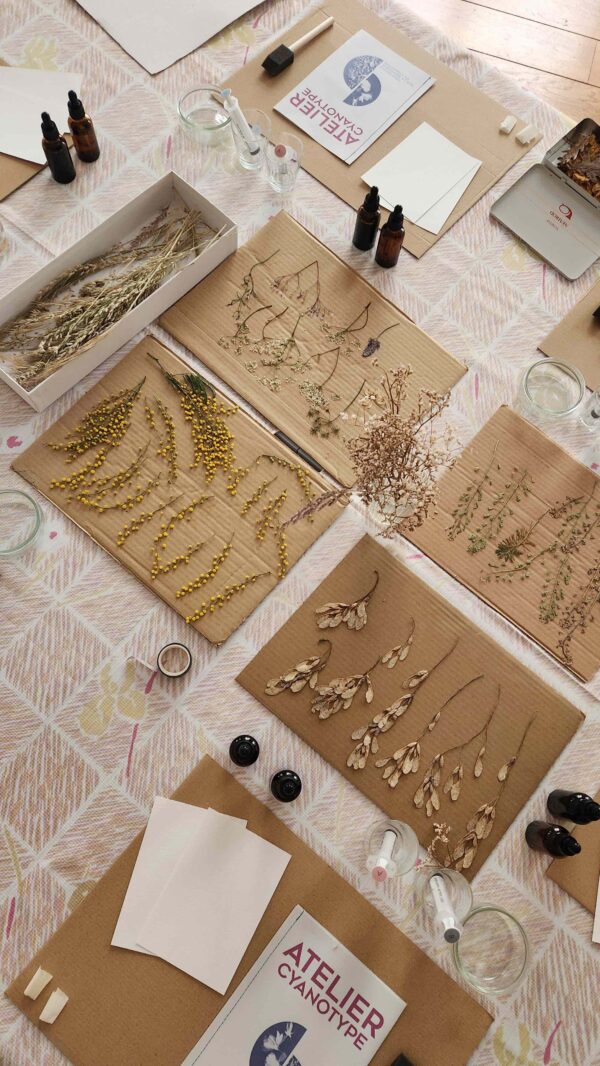 atelier cyanotype - 18 juillet – Image 3